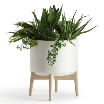 vaso jardim vaso jardim